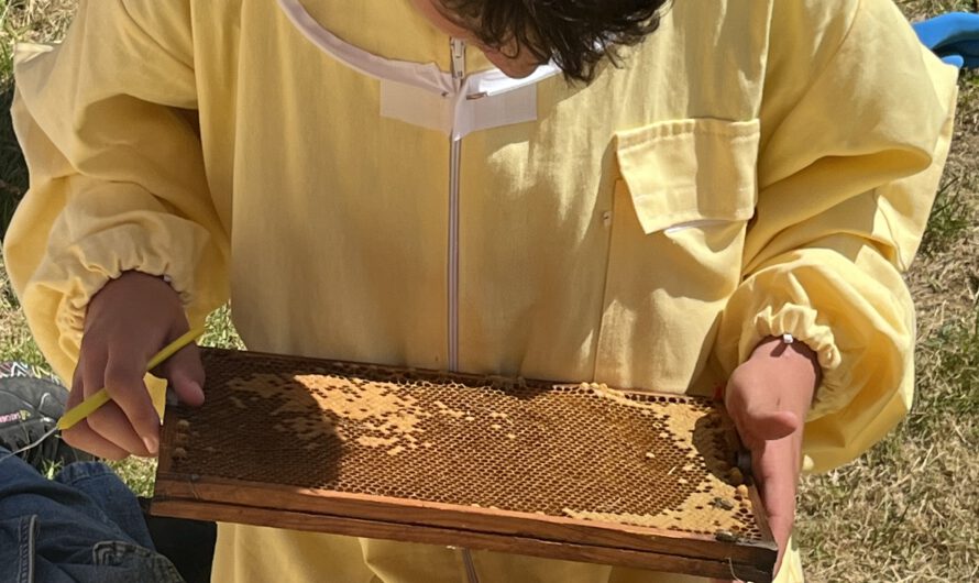 Royales Nachwuchszentrum