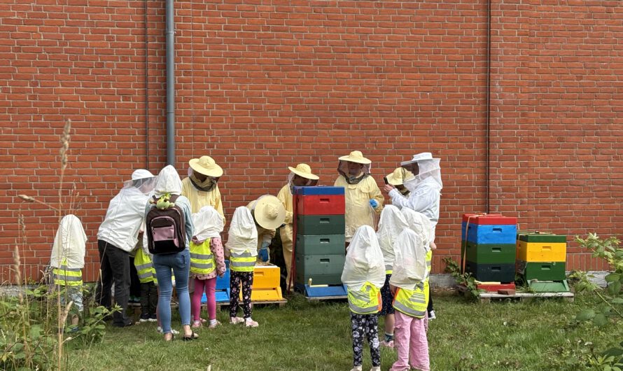 Die Kleinen lernen von den Großen